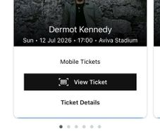 Dermot Kennedy Aviva Sun 12th July 2026, Standing