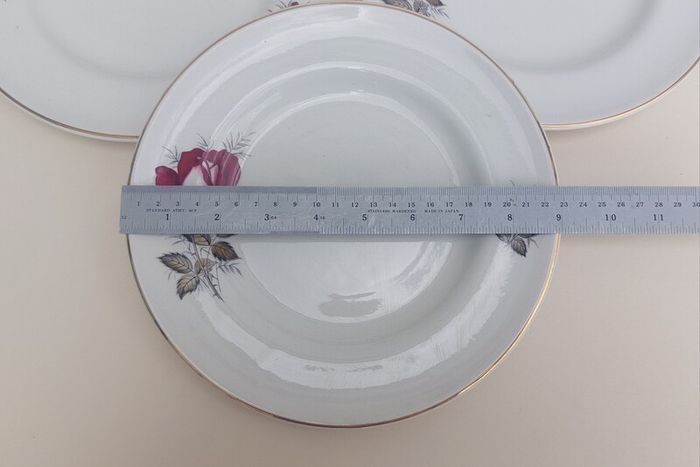Beautiful Set of Four Breakfast Plates by Arklow Pottery in the Very Popular and Collectable "Autumn Rose" Pattern