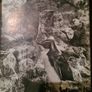 International Zoo Yearbook Volume 18. Edited By P. J. S. Olney. Published By The Zoological Society Of London. First Edition. Hardback With Dustjacket In Very Good Condition. Image 2