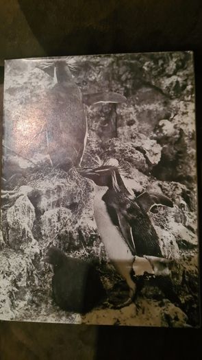 International Zoo Yearbook Volume 18. Edited By P. J. S. Olney. Published By The Zoological Society Of London. First Edition. Hardback With Dustjacket In Very Good Condition.