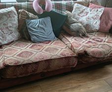 free sofa