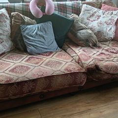 free sofa