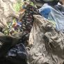 Huge bag of baby clothes Image 5