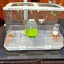 Vision by Hagen double bird cage. Image 8