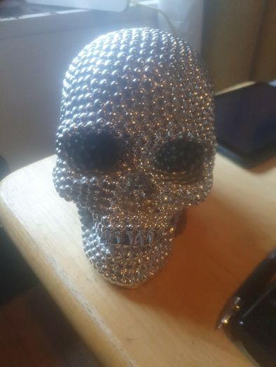 skull