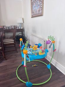 Baby bouncer