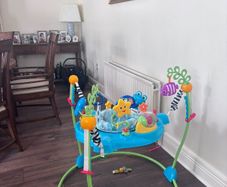 Baby bouncer