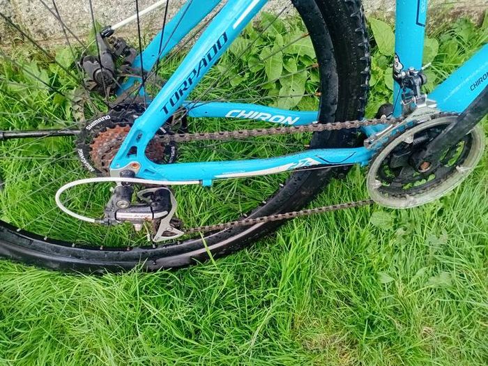 Bike Torpado chiron XL