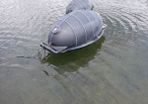 Mussel line floats