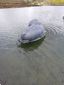 Mussel line floats