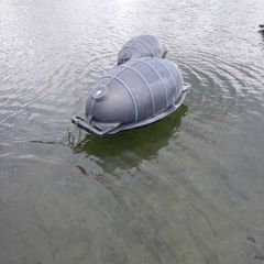 Mussel line floats