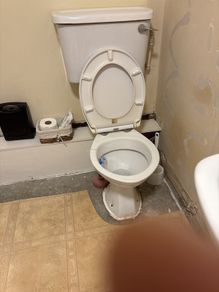 toilet