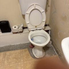 toilet
