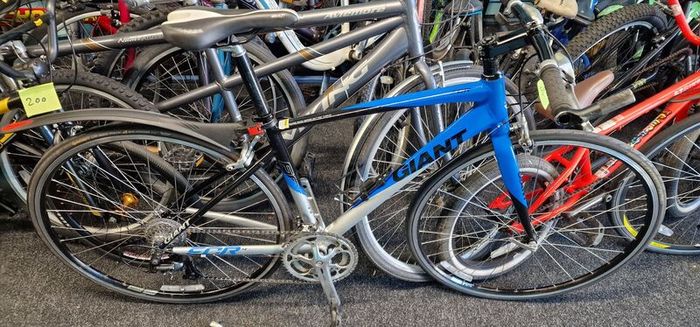 adult bikes