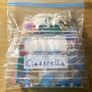 LEGO Cinderella's Dream Carriage Image 4
