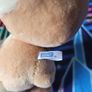 Pokemon Eevee Plushie Image 3
