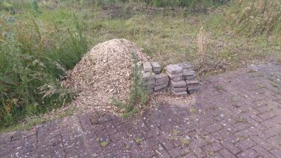 Bark chippings