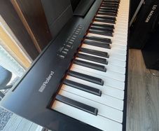 Roland FP30 with wheel case and stand