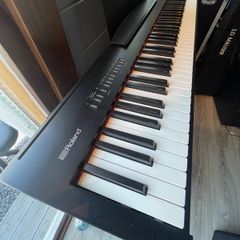 Roland FP30 with wheel case and stand