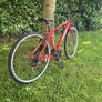 bike Image 6