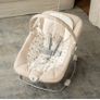 cot and bouncer Image 2
