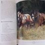 A Taste of Old Ireland / Andy Gerald Gravette/ 2002 Image 10