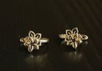 14K Gold Earrings