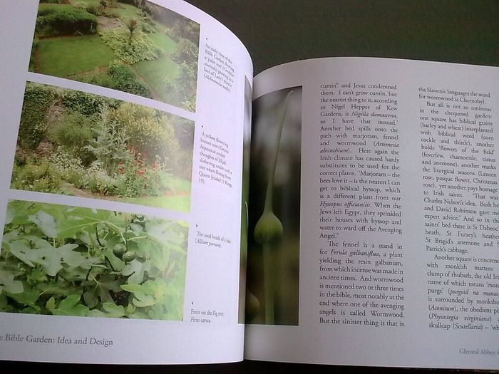 Glenstal Abbey Gardens Ireland Irish Limerick local history