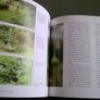 Glenstal Abbey Gardens Ireland Irish Limerick local history Image 9