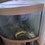 Juwel Fish Tank 190 Image 3