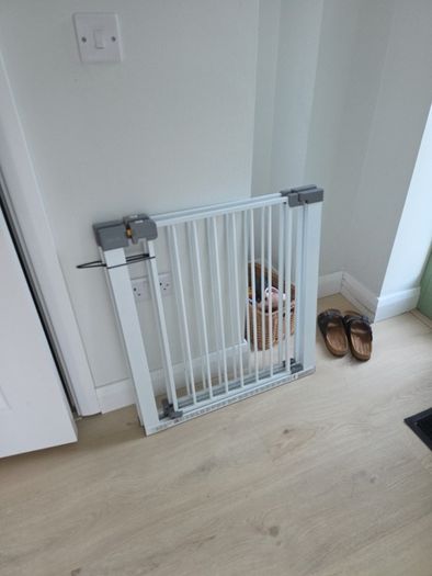 baby gate