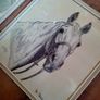 70s pair of framed equine pencil drawings Image 2
