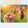 Free Range Eggs Image 4