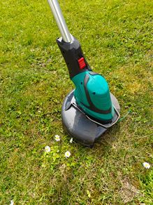Strimmer