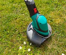 Strimmer