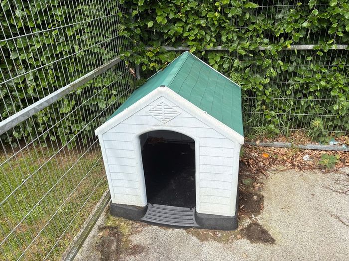 dog pen