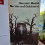 Classics bundle (Stendhal, Wilde, Joyce, Hesse) Image 5
