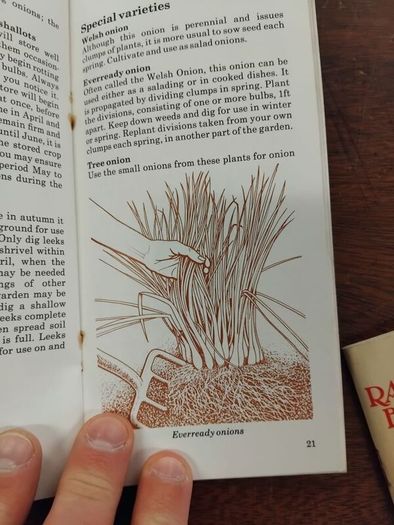 4 Letts Grow 1970s Books