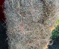 Square Bales of Hay