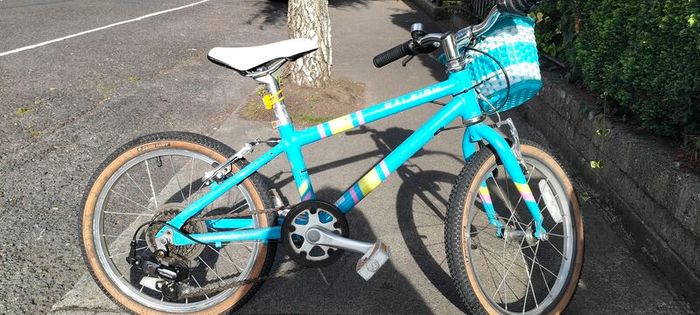 Raleigh pop 18"