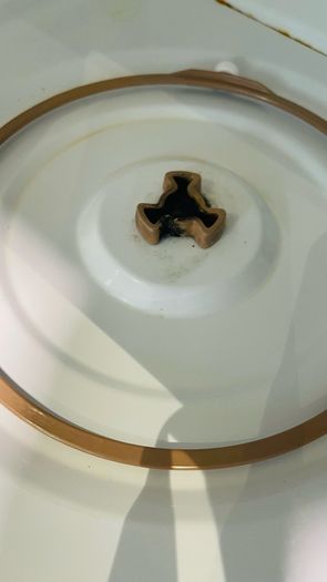 Swan microwave