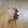 Ceramic Animal Figurines for Sale Image 2