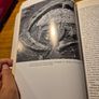 First Edition. Pagan Celtic Ireland. The Enigma of the Irish Iron Age. Barry Raftery. Image 10