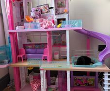 Barbie dreamhouse +car & accessories