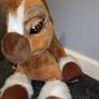 Toffee the pony Image 3