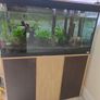 fish tank Image 2