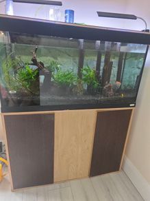 fish tank with accessories