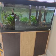 fish tank with accessories