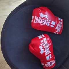 Boxing Gloves Jnr