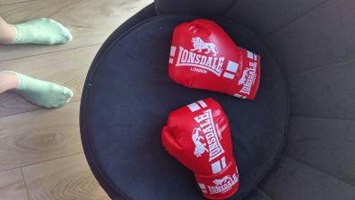 Boxing Gloves Jnr